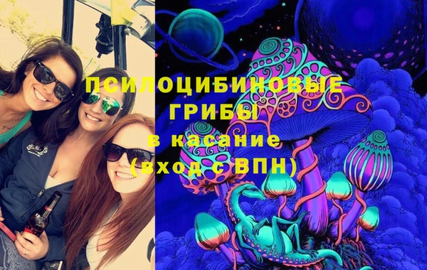 ПСИЛОЦИБИНОВЫЕ ГРИБЫ Дмитров