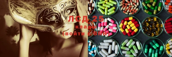ПСИЛОЦИБИНОВЫЕ ГРИБЫ Дмитров