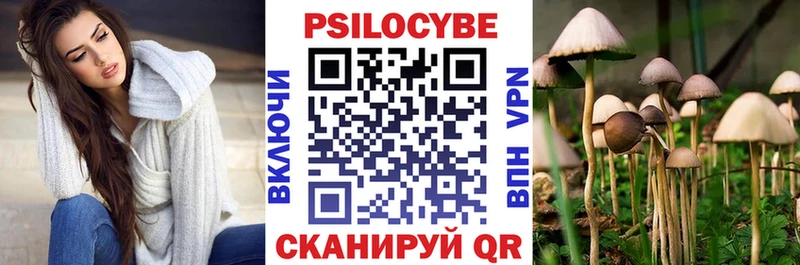Купить закладки  Кущёвская  Псилоцибиновые грибы Psilocybe 